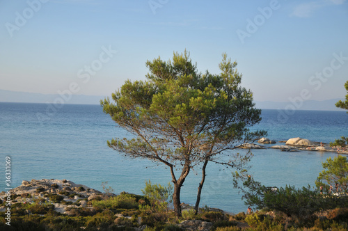 Mediterranean coast © predrag1