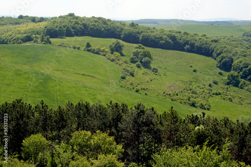 Summer in the mountains