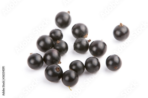 Black currant on a white background