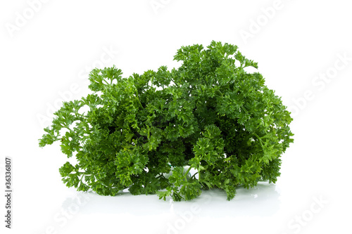 leaves parsley