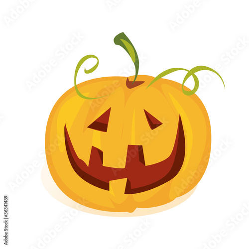 zucca