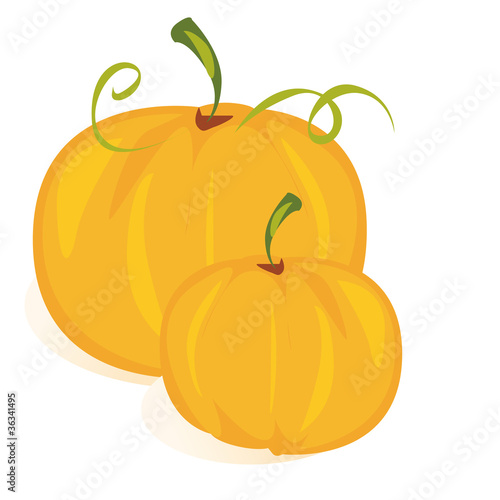 zucca