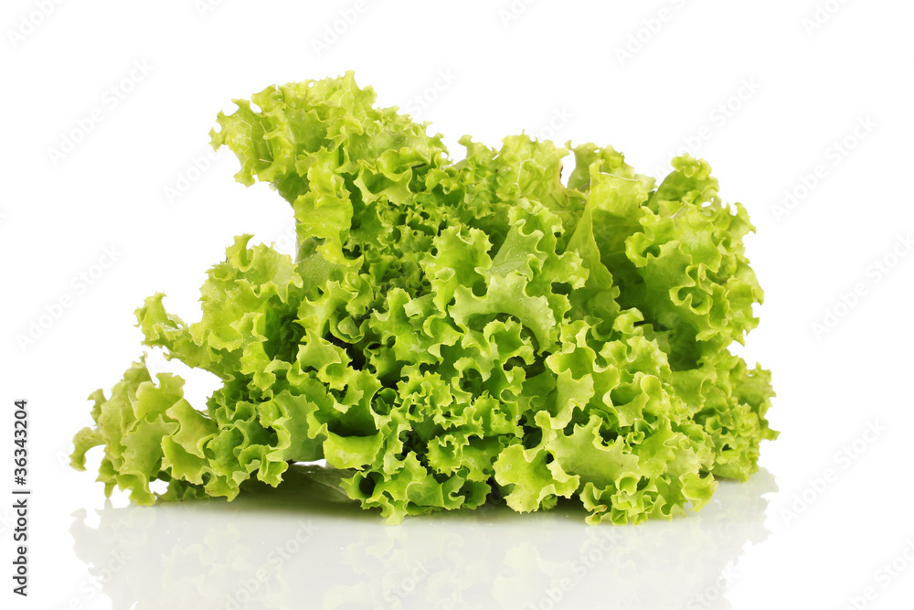 lettuce isolated on white lettuce isolated on white