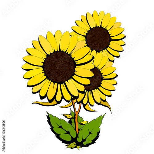 three yellow flowers