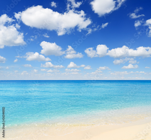 Fototapeta Naklejka Na Ścianę i Meble -  Tropical beach