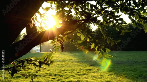 Herbstsonne