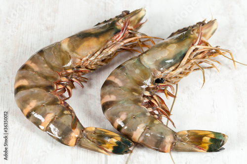 Obraz na plátně Gambas