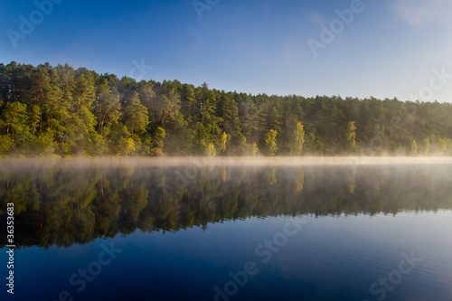 Forest reflection in the lake in autumn