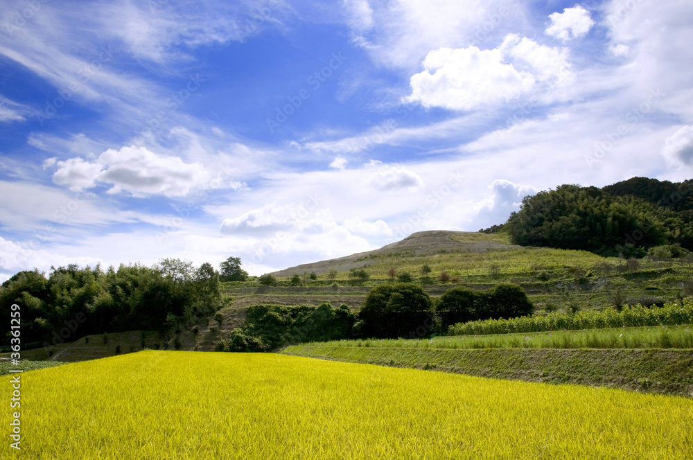 秋の里山