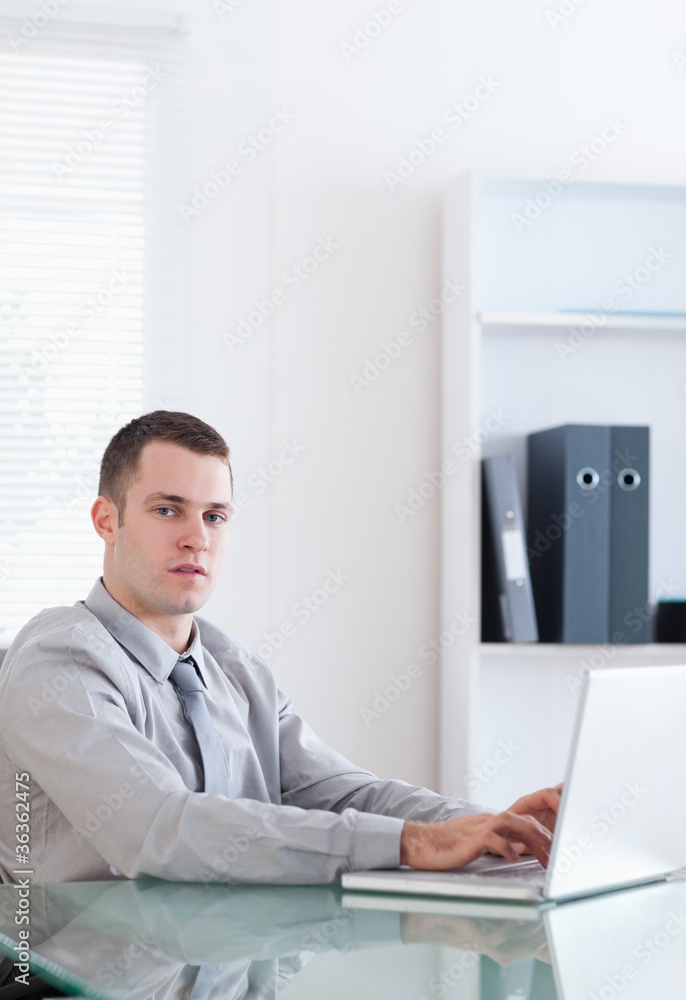 Businessman using his notebook Businessman using his notebook