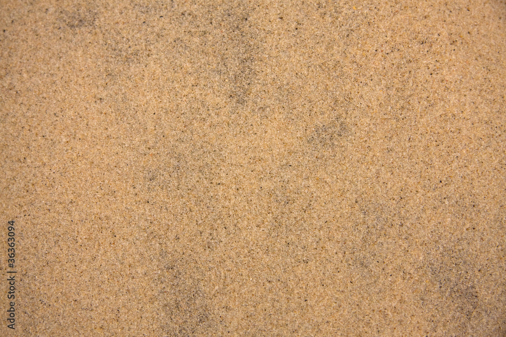 Natural sand background Natural sand background