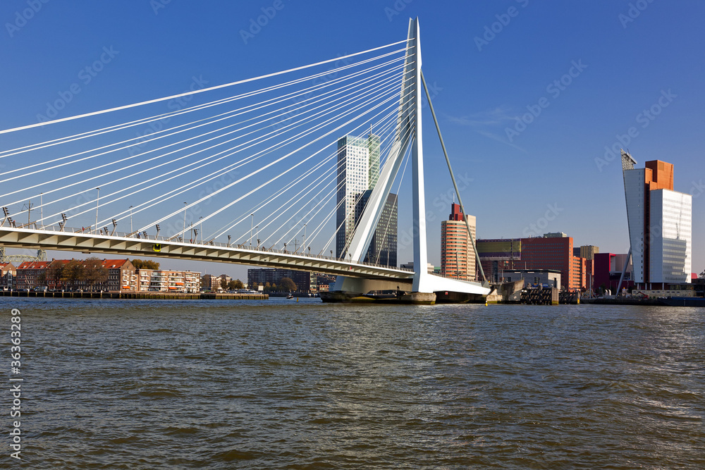 Erasmus Bridge at Rotterdam