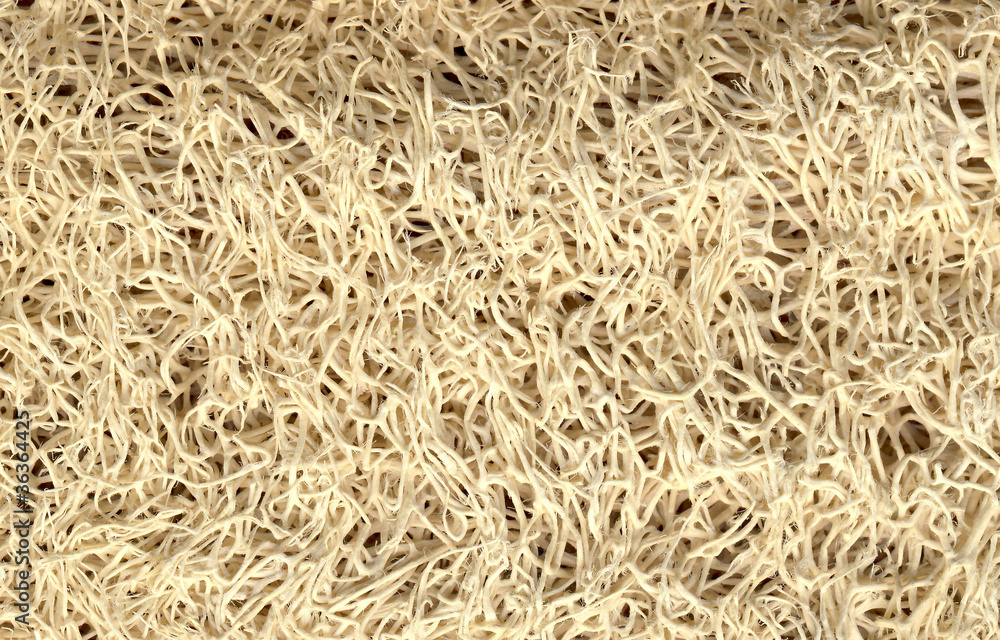 текстура губки