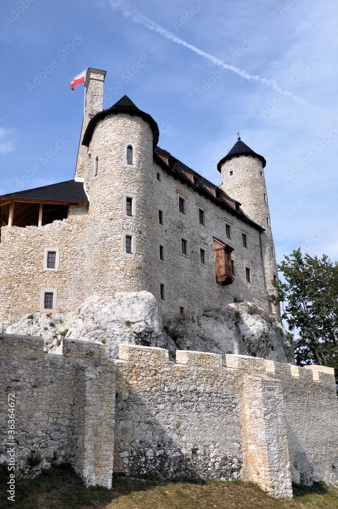 Castle of Bobolice, Poland