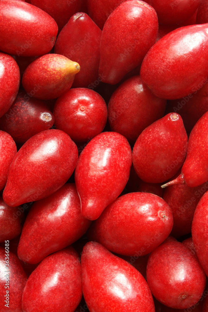 Cornelian cherry Cornelian cherry