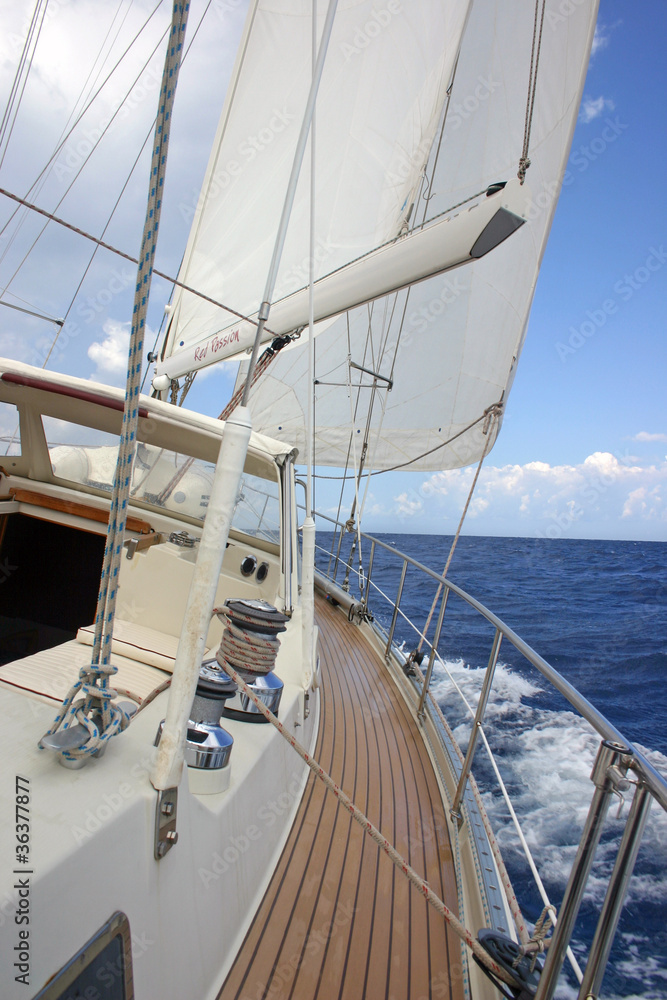 Fototapeta premium Bolina