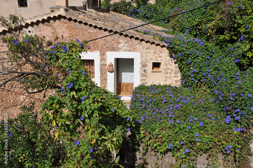 Haus in Deia, Mallorca photo