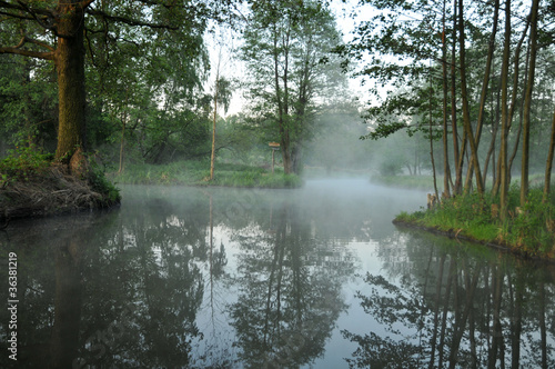 Nebel im Spreewald