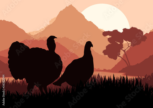 Wild turkey hunting season landscape background