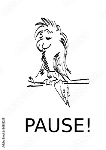 Papagei