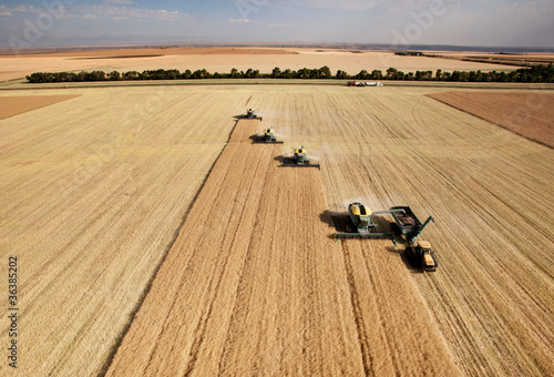 Aerial View of Harvest photo