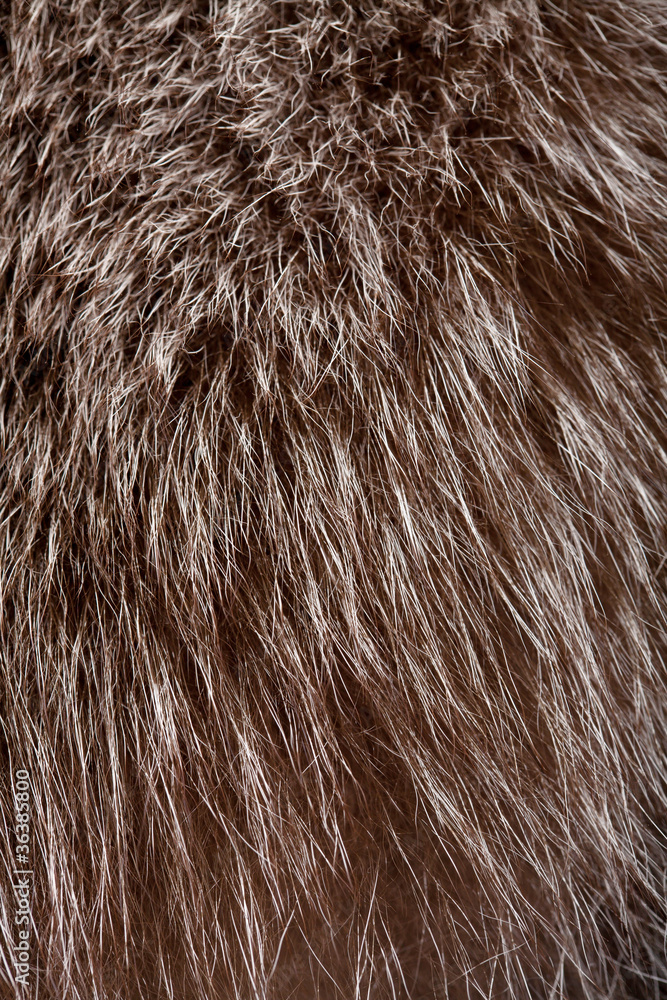 Naklejka premium abstract fur background