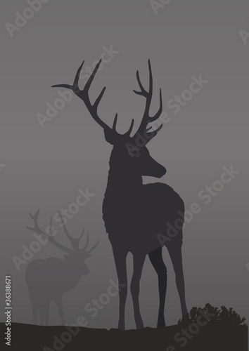 Cerfs