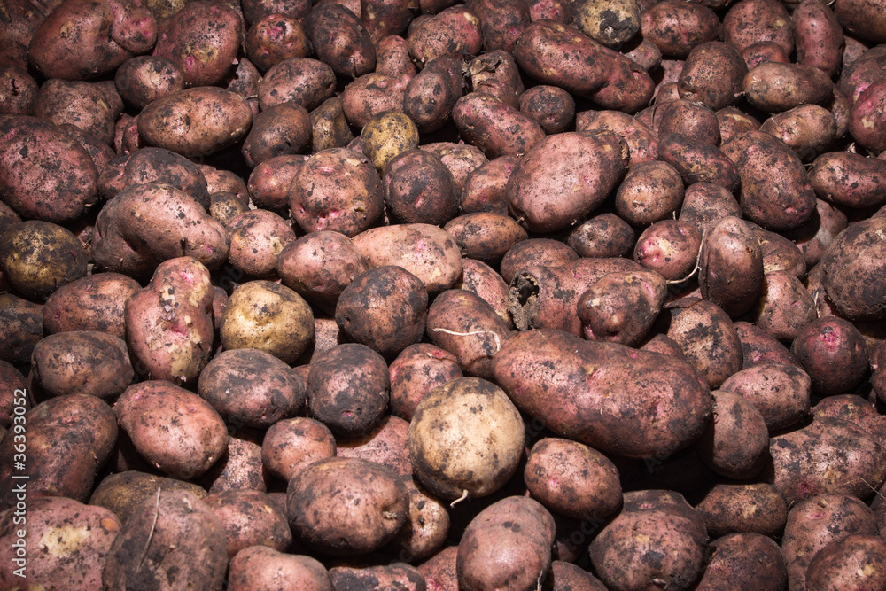 Potatoes raw vegetables food pattern Potatoes raw vegetables food pattern