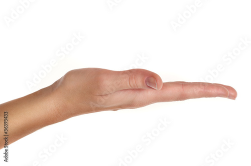 Wallpaper Mural female hand holding or showing something Torontodigital.ca