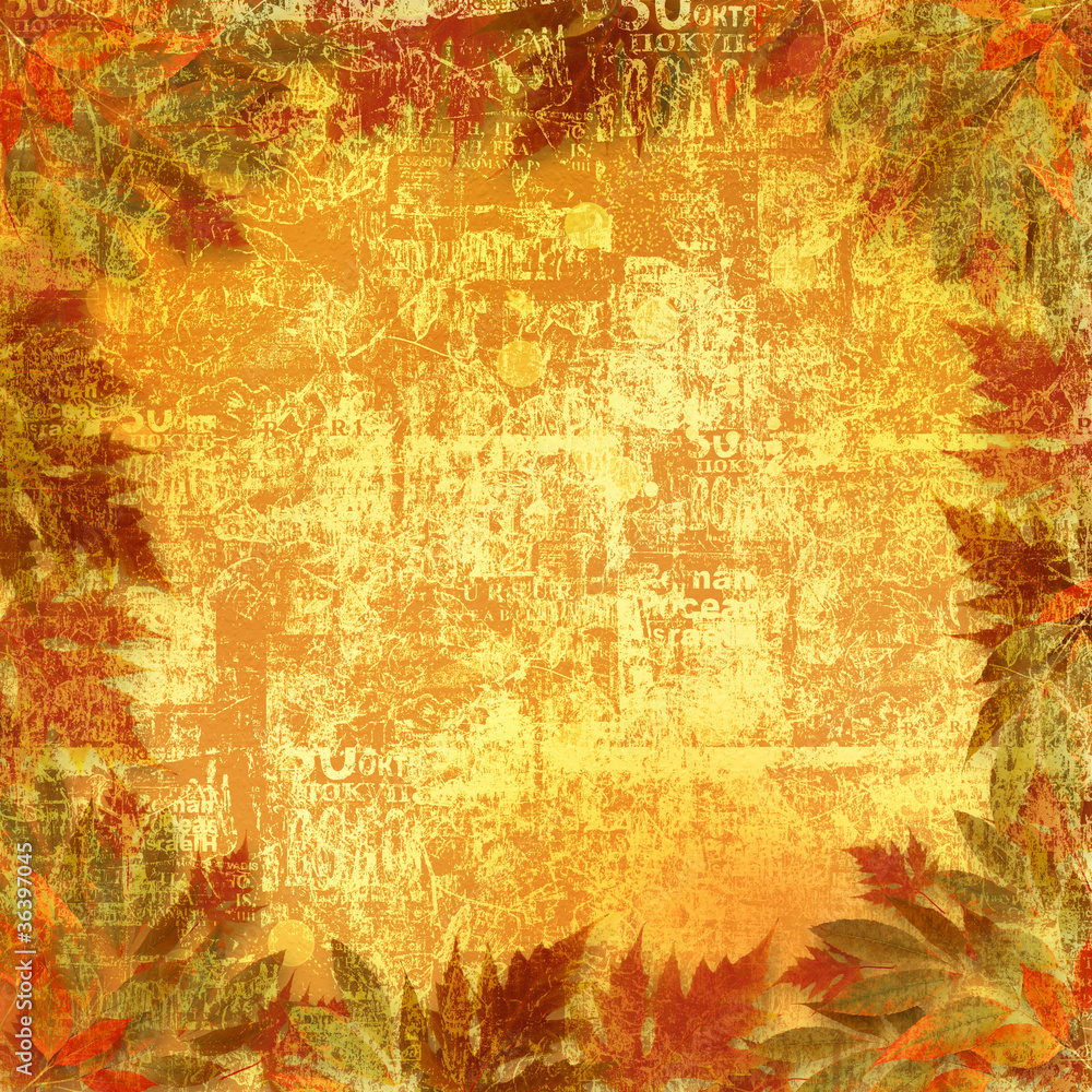 Bright autumn leaves on the abstract with paper frame