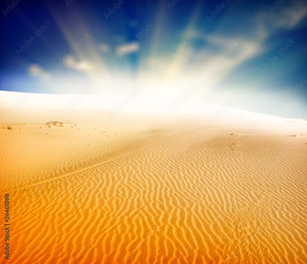 Naklejka premium sunset in sand desert