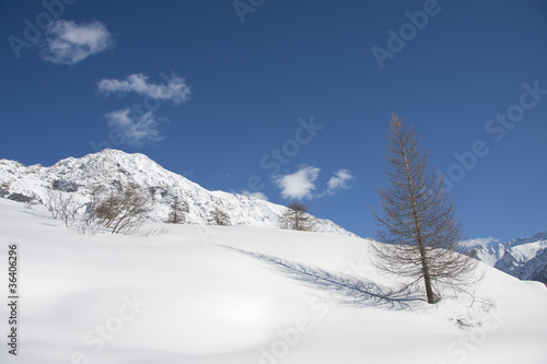 Alpine landscape © ataglier