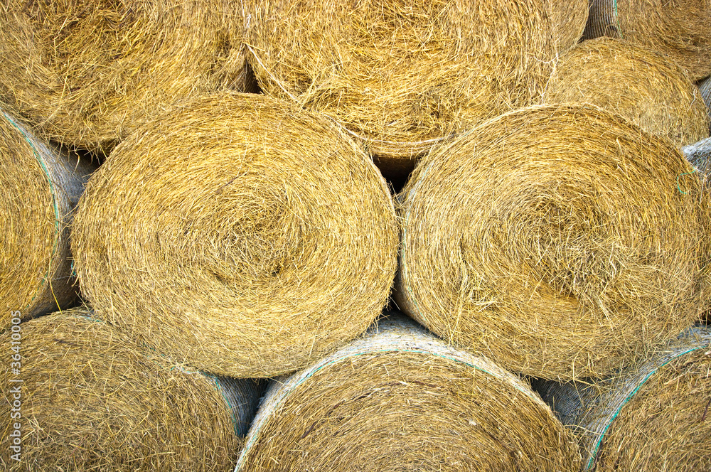 Bales of hay Bales of hay