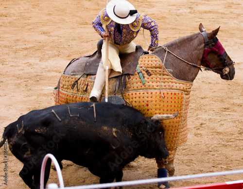 Horseman bullfighting