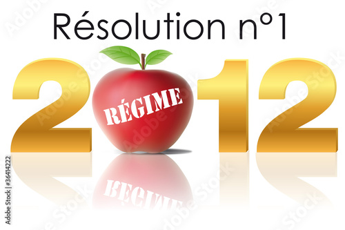 2011_résolution_n°1_Regime