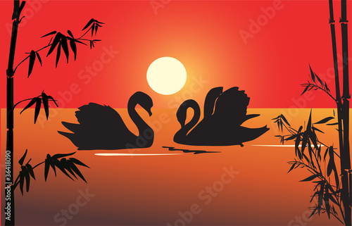 two swan silhouettes in bamboo bush