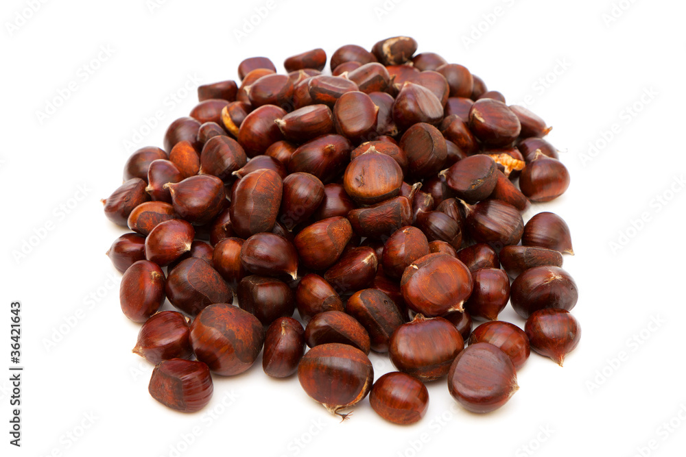 photo of chestnut, close-up, on white background photo of chestnut, close-up, on white background