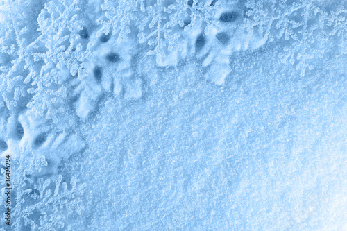étoiles de neige et poudreuse fond bleu