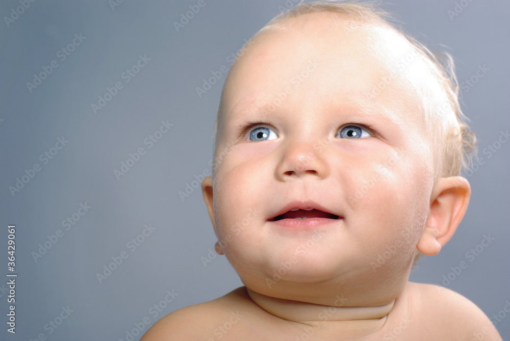 Portrait of cute little boy