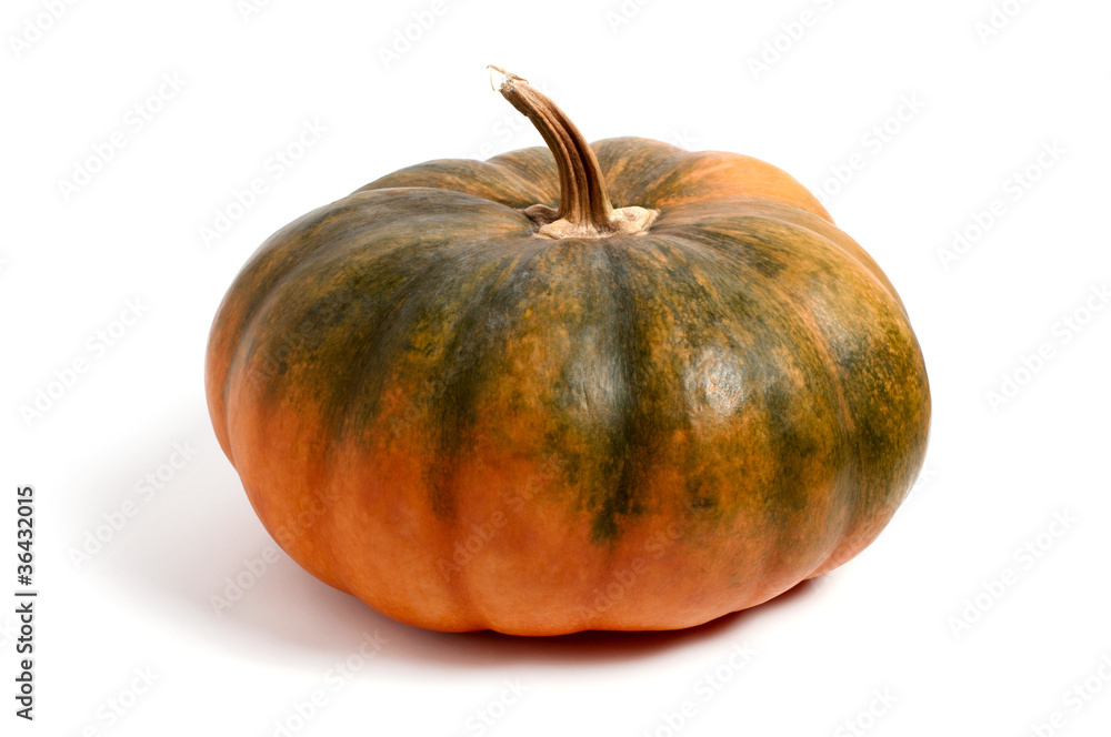 Ripe autumn pumpkin on a white background Ripe autumn pumpkin on a white background