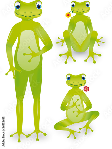 Grenouilles avec fleur, debout, assise et en tailleur