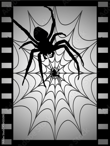 Schwarze Spinne im Netz