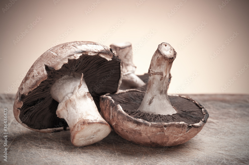 Obraz premium Mushrooms close up.