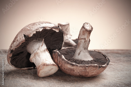 Mushrooms close up. © elnavegante
