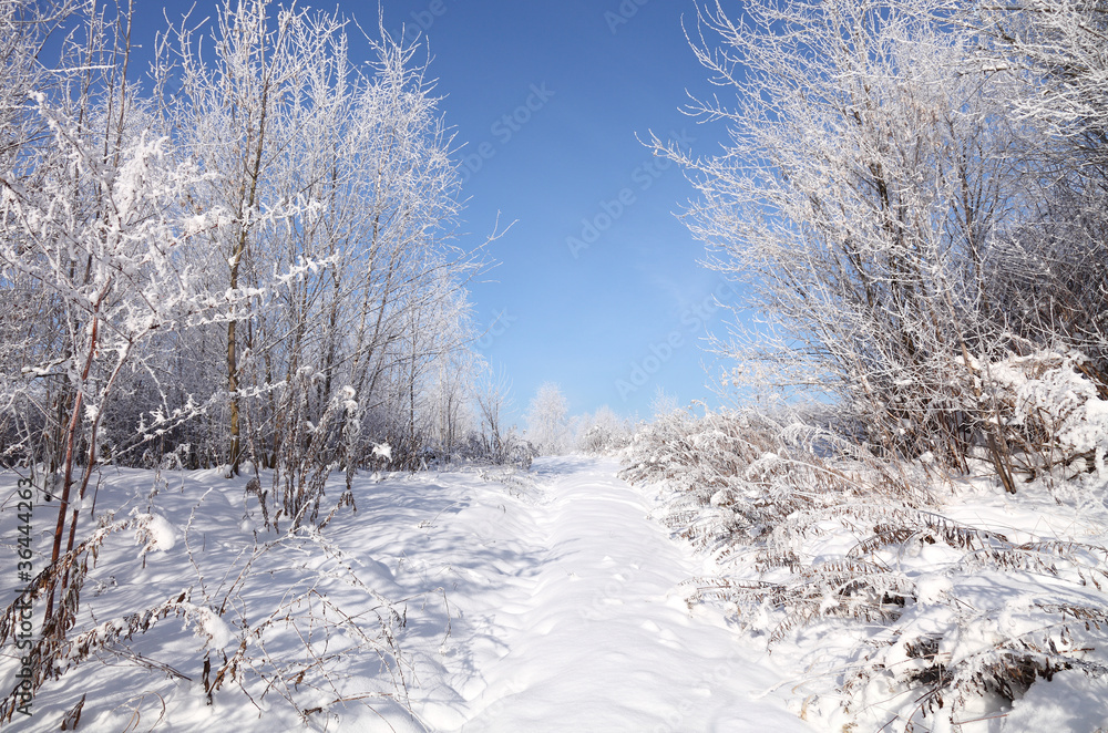 First snow