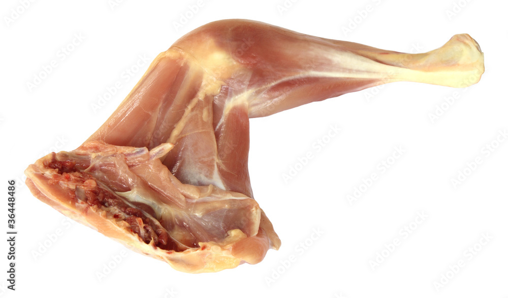 Chicken leg Chicken leg
