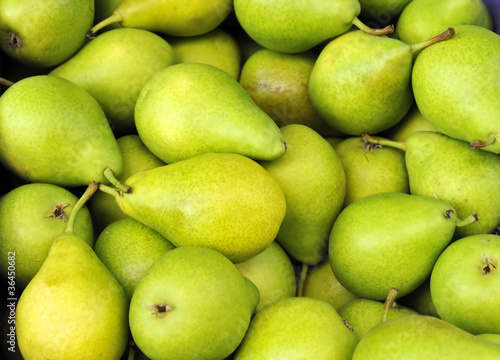 Obraz na plátně Green pears