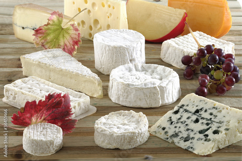 Diversité de fromages