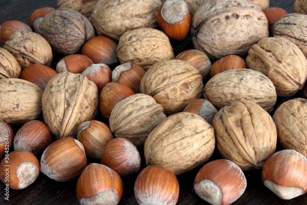 noci e nocciole noci e nocciole