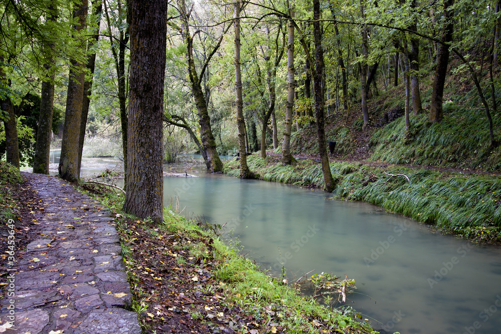 Naklejka premium Fontibre (Cantabria)